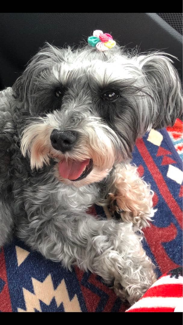 miniさま  確認用　その③