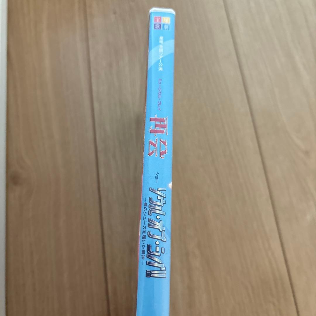 星組全国ツアー公演 再会/ソウル・オブ・シバ!!⭐️中古