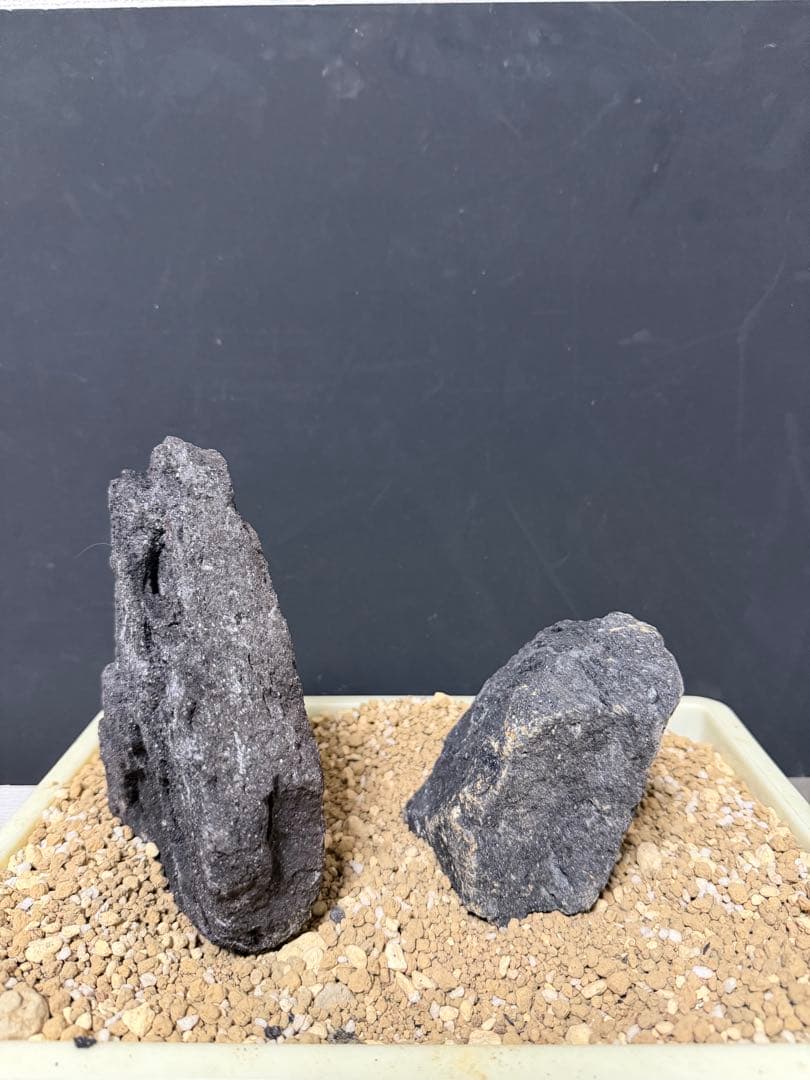 ⑧ADA山水石 組合せ！オススメ！