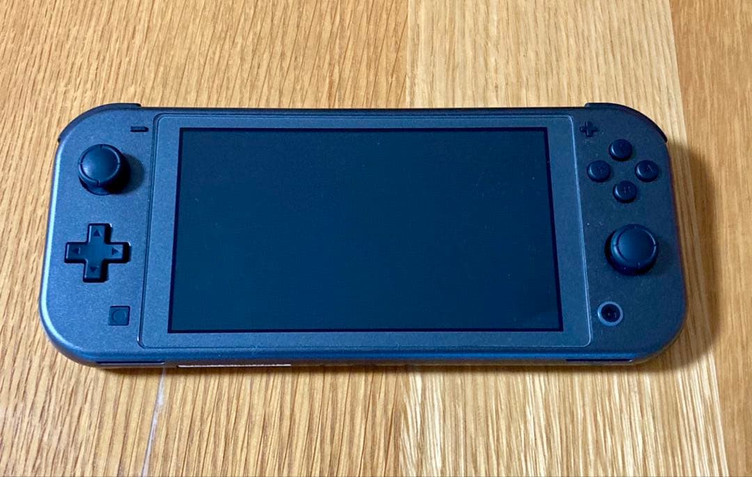 Nintendo Switch Lite ディアルガ・パルキア　充電器付き