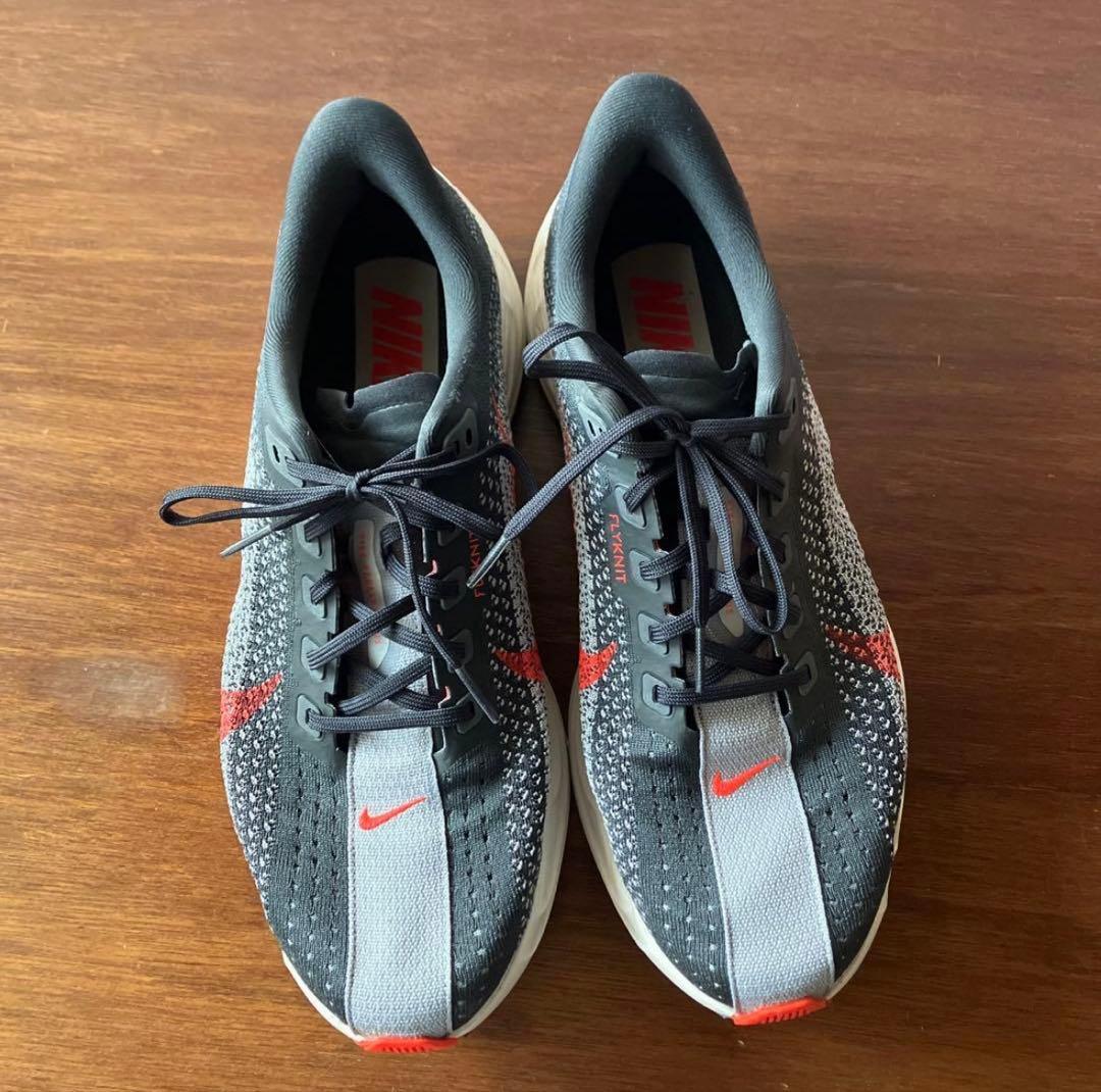 ナイキ ペガサス プラス 27.5cm