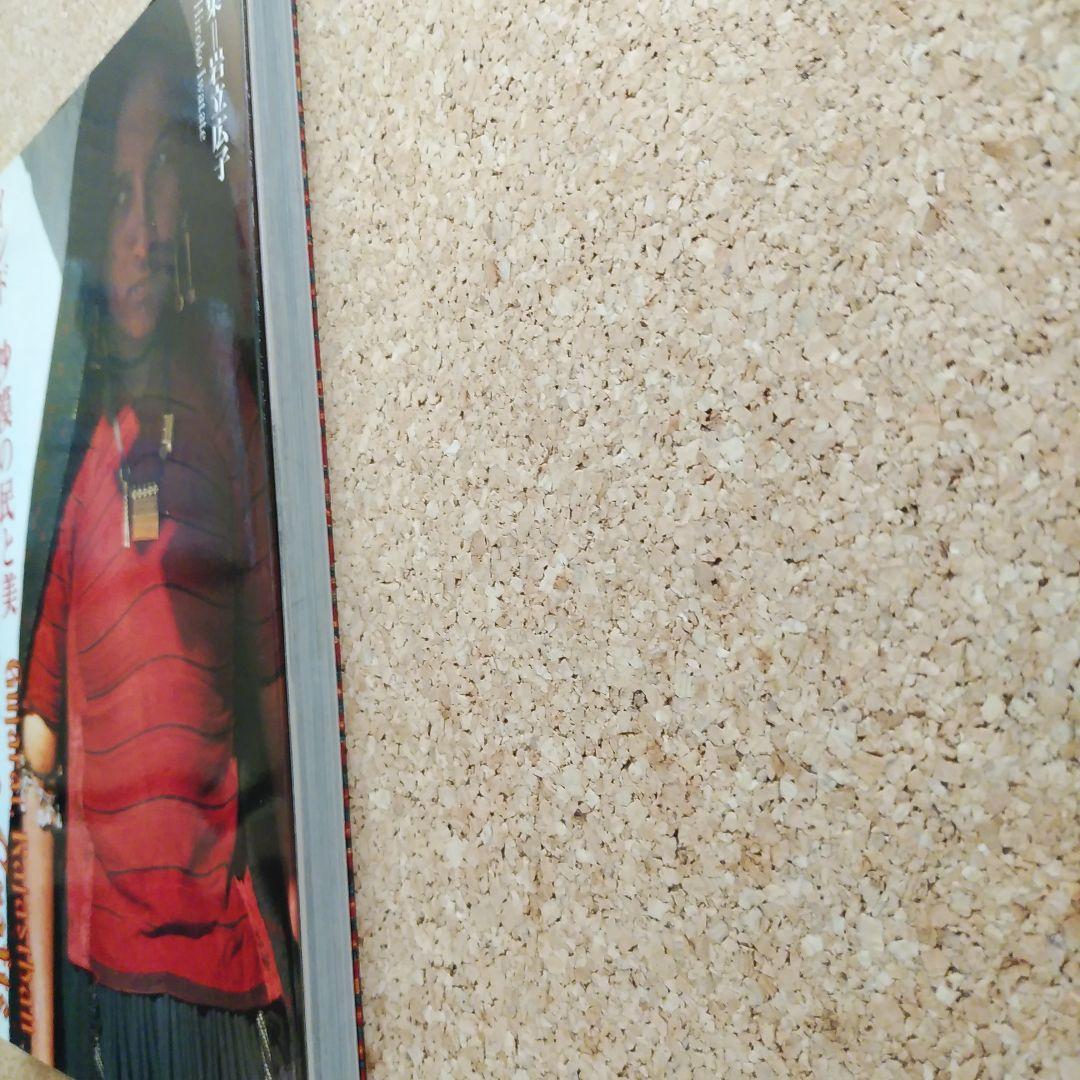 インド沙漠の民と美　岩立広子