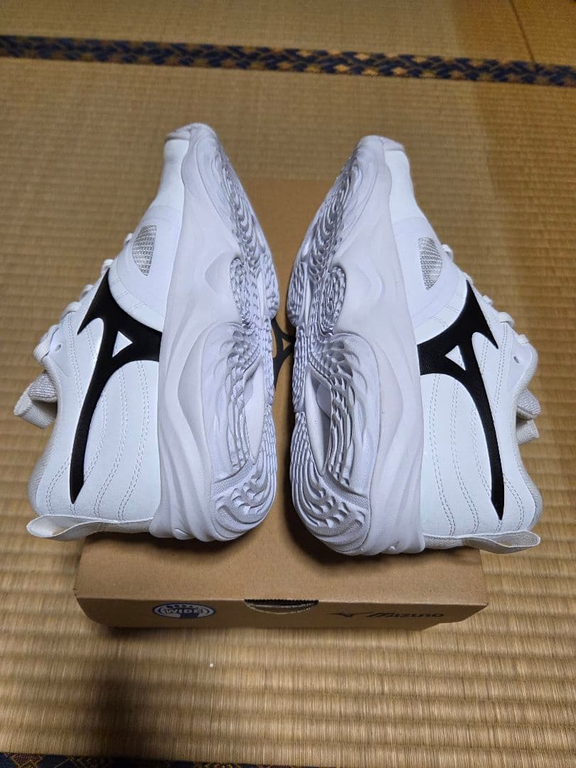 ミズノ　バレーボールシューズ　モーメンタムエリート　ワイド　Low