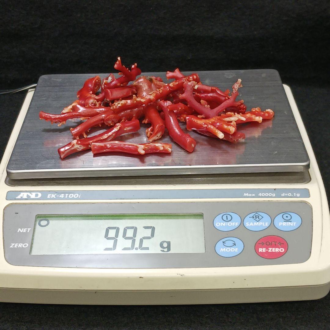 赤珊瑚 原木 枝 16点 総重量99.2g　ね