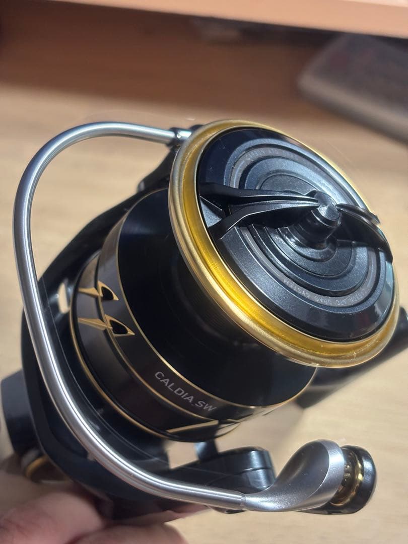 ダイワ CALDIA カルディア SW 10000 P