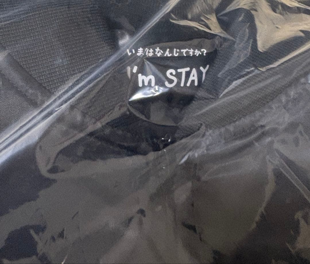 Stray Kids ハンジソン　メンプロ　ボンバージャケット　未開封