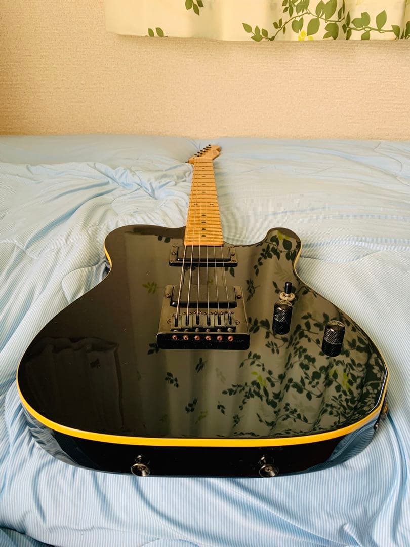 【SCHECTER】シェクターUSA☆エレキギター☆テレキャスター☆バーズアイ