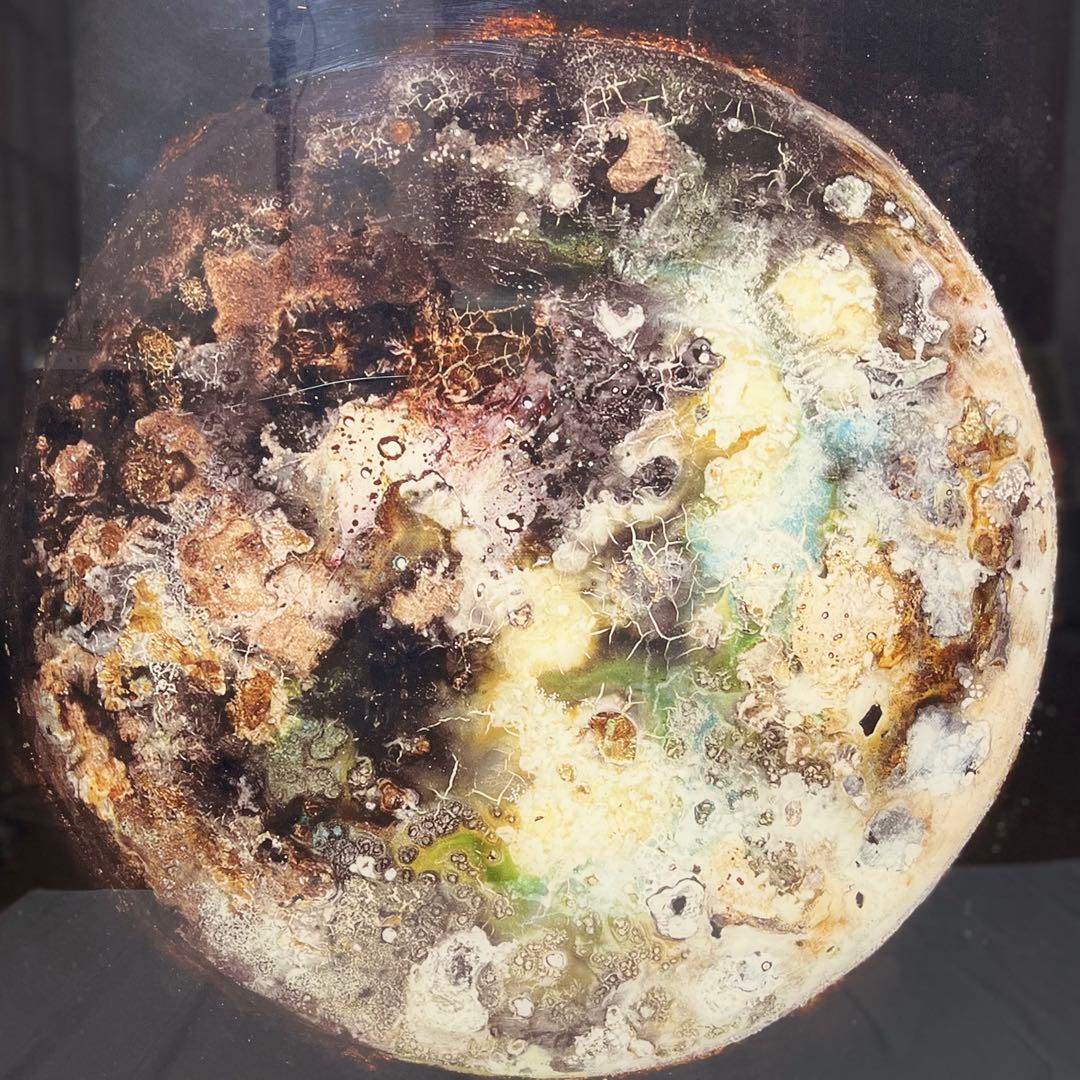 「FUSION WORLD」 Anne Gaiss 鑑定書付 アート