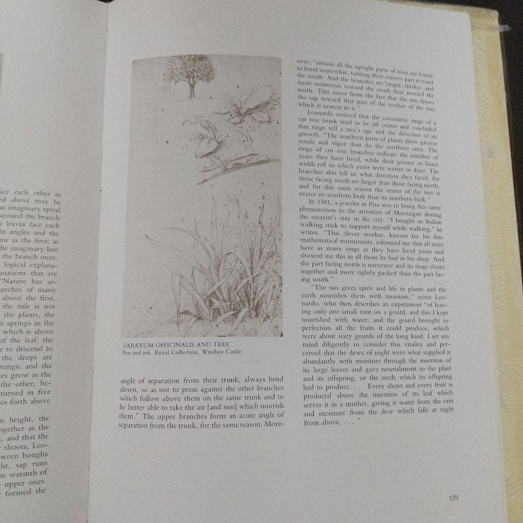 レオナルド·ダ・ヴィンチ　画集