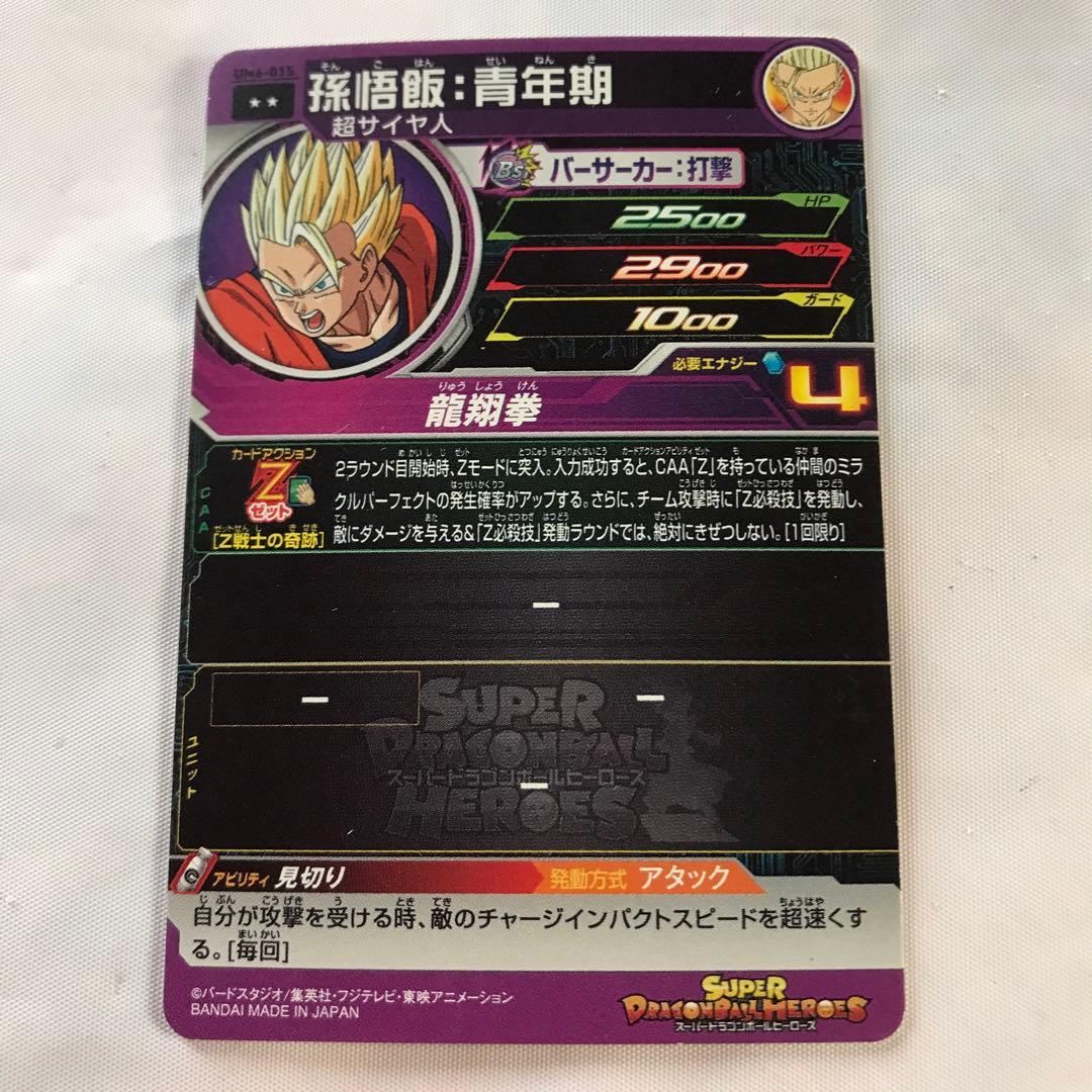 孫悟飯：青年期