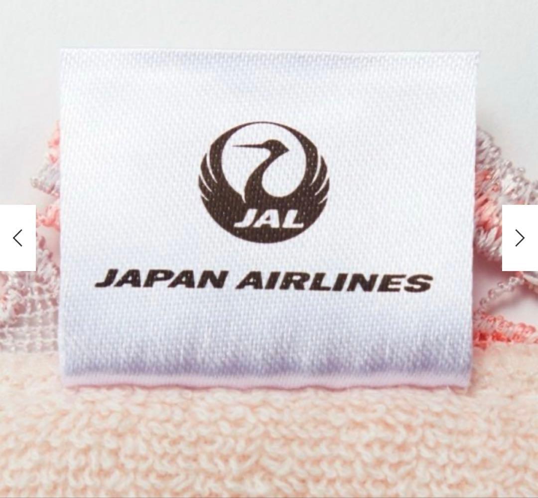 【新品】JALオリジナル　近沢レース　トラベル衣類ケース