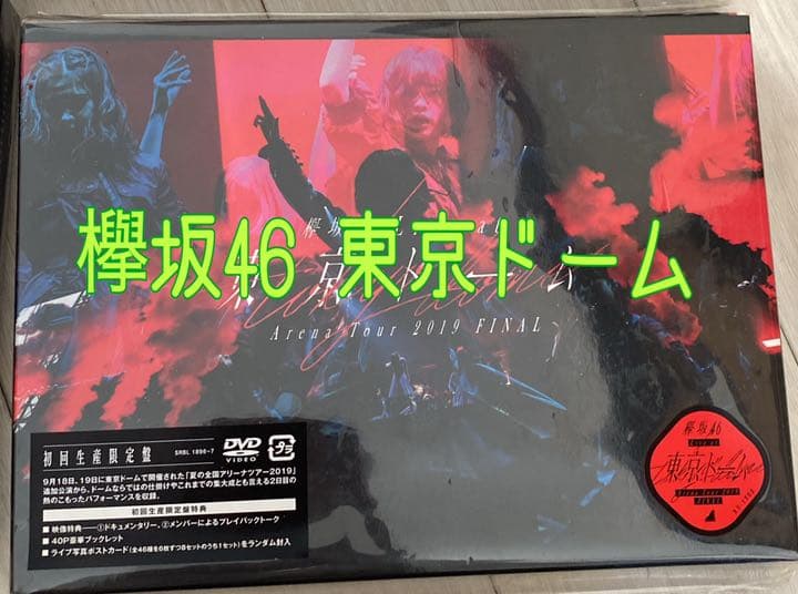 初回限定!欅坂46東京ドーム欅共和国セットおまけ沢山！！