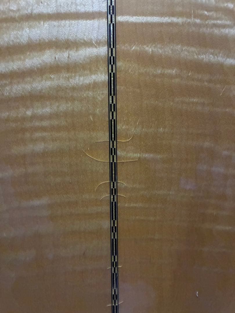 ギブソンJ 200 100周年限定モデル