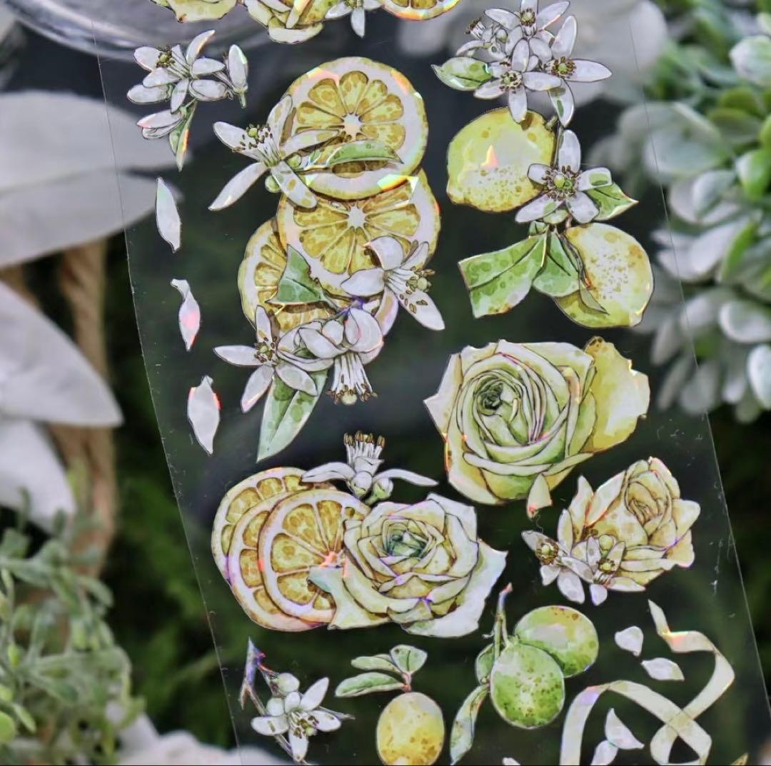 海外マスキングテープ巻売り 夏日香気 テディベア 人物マスキングテープ825