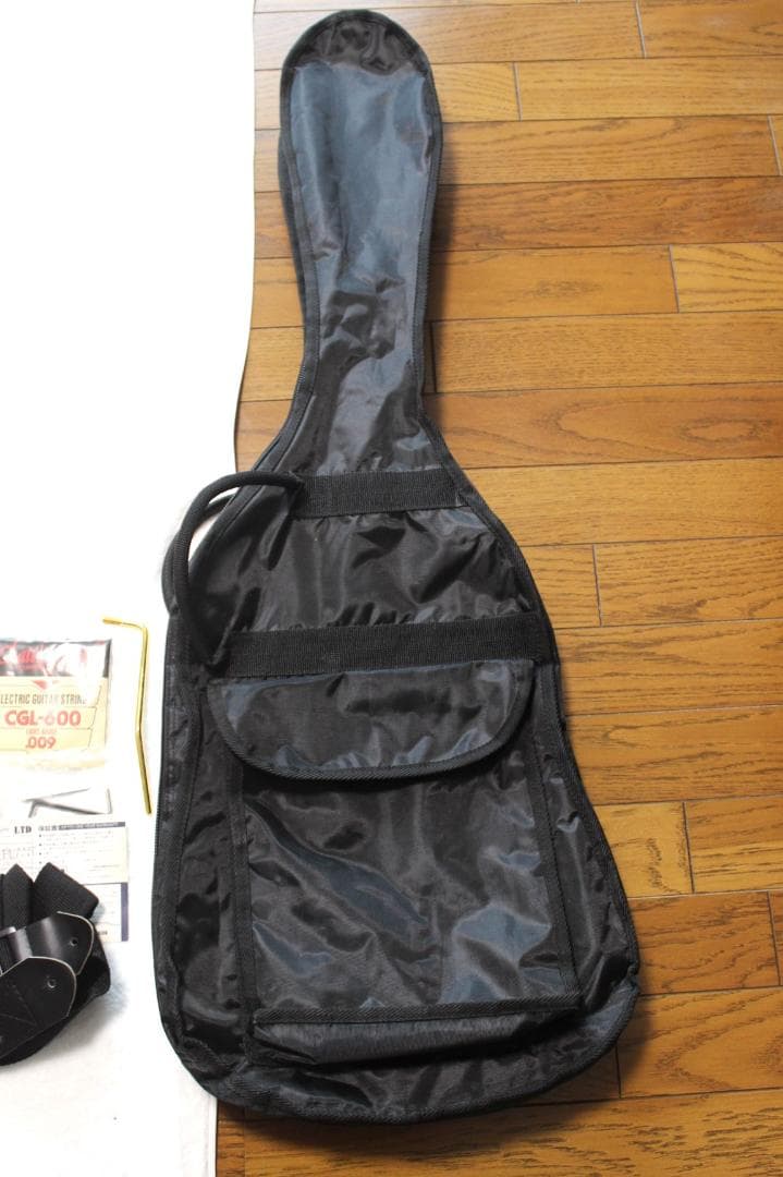 Grassroots Horizon G-HR-43QM ホライゾンエレキギター