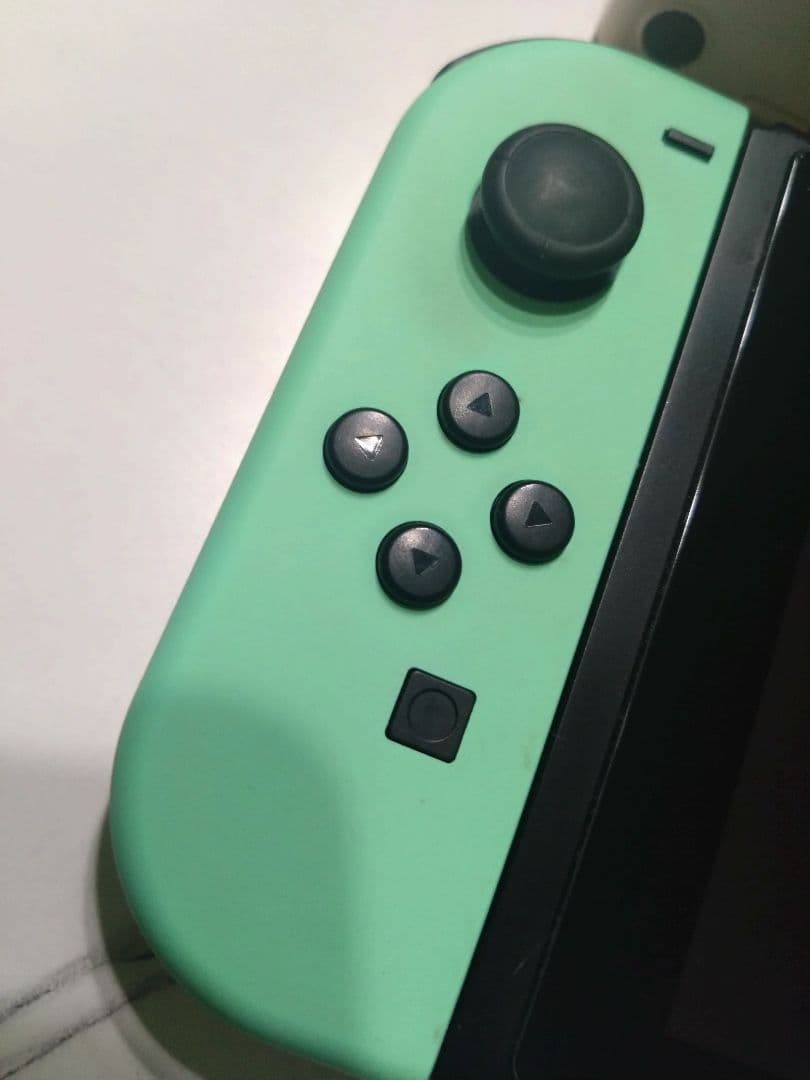 ニンテンドースイッチ本体 Switch あつまれどうぶつの森エディションセット