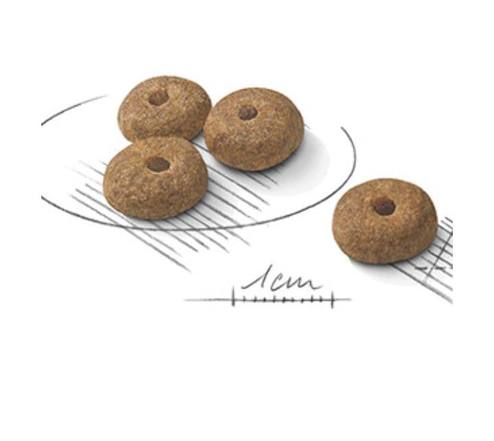 ロイヤルカナン ミニステアライズド 避妊去勢犬用 8kg　期限27.1.13