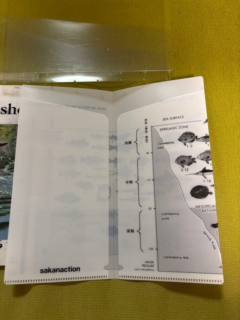 サカナクション　魚図鑑　2CD1DVD チケットホルダー付き