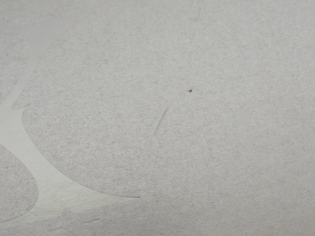 X JAPAN DVD 完全版 コレクターズBOX 2点セット