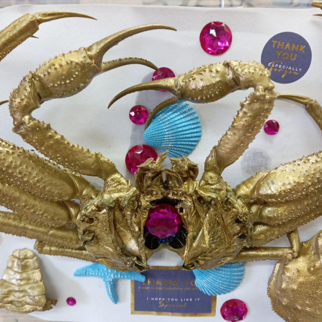 松葉蟹[セコガニ］ゴールドカラーオリジナル全長２３センチ立体リアル標本飾り置物