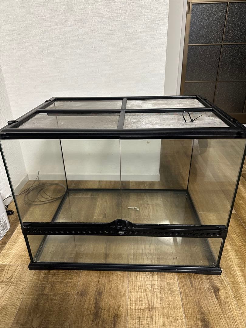 グラステラリウム 6045