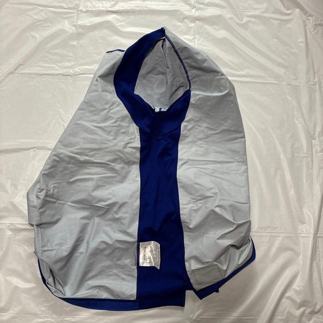 デサント　ウィンドブレーカー　日本ウェルネススポーツ大学　Lサイズ　ISHII入