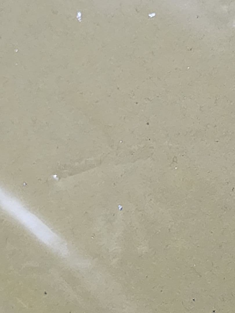 鬼滅の刃　DVD・Blu-ray特典　色紙　10枚セット　商品説明ご確認ください