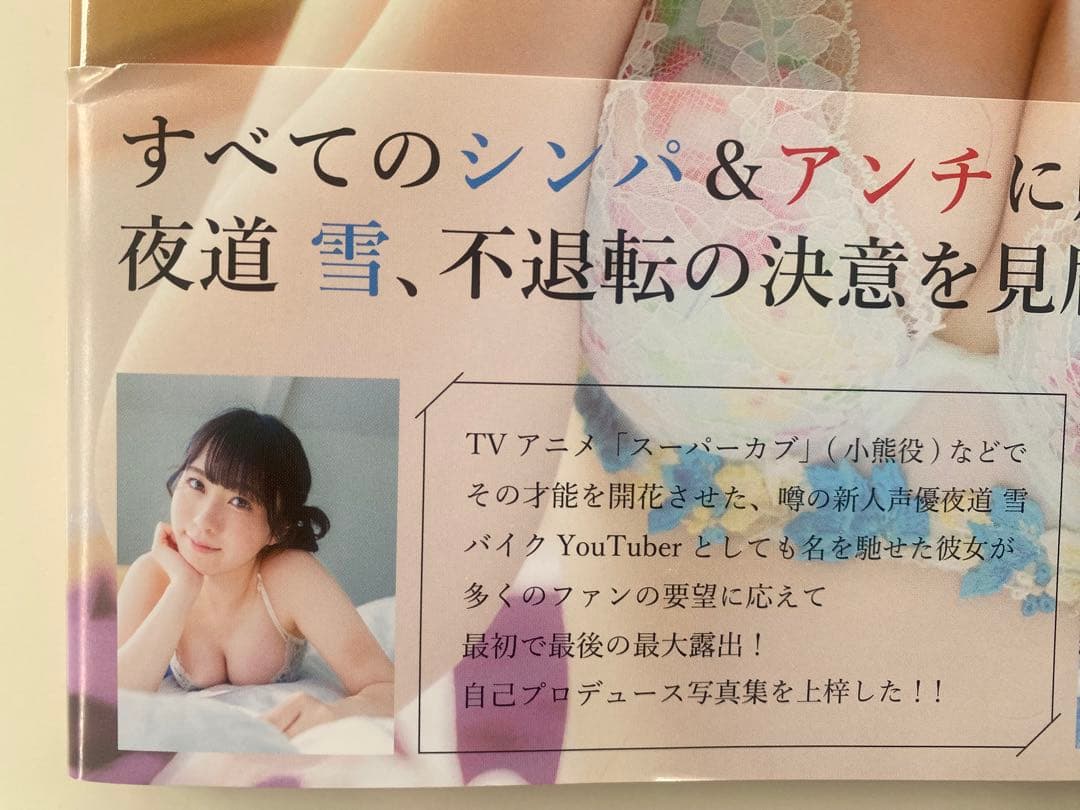 夜道雪1st写真集『ひめごと』ゲーマーズ【超】限定版 等身大タオル&ステッカー付