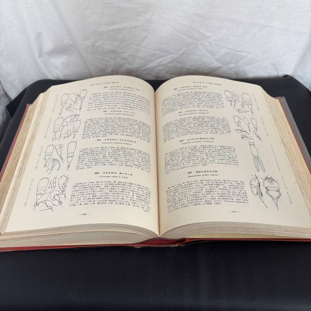 新日本動物図鑑 上・中・下 全3巻セット 北隆館