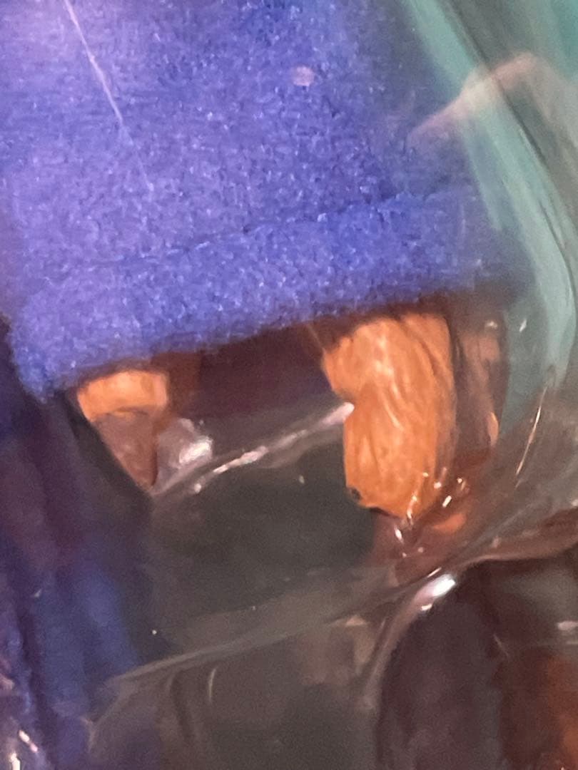 【特大サイズ！】パディントン×メディコムトイ　bigサイズ フィギュア