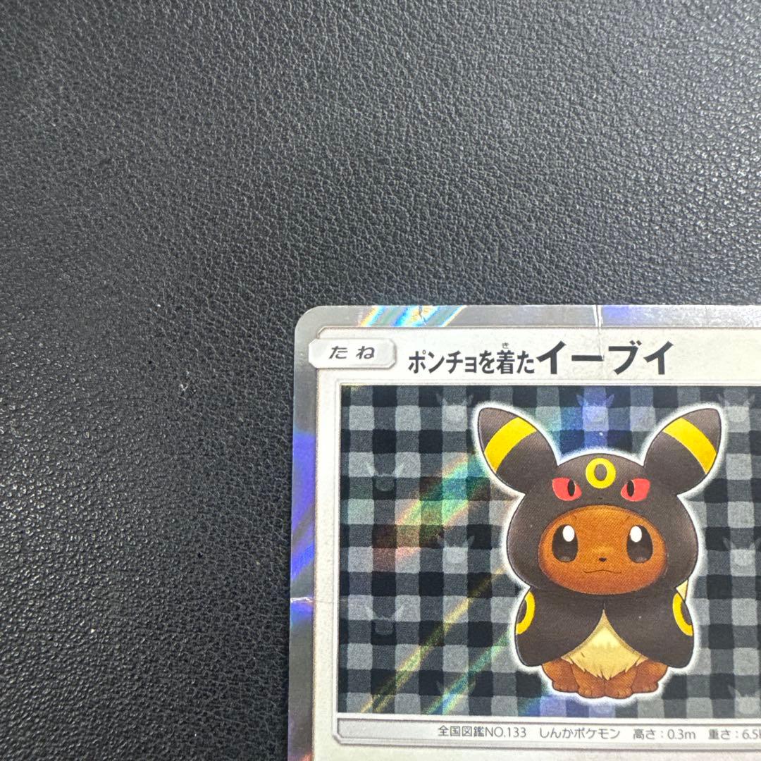 ポケモンカード　ポンチョを着たイーブイ　ブラッキー
