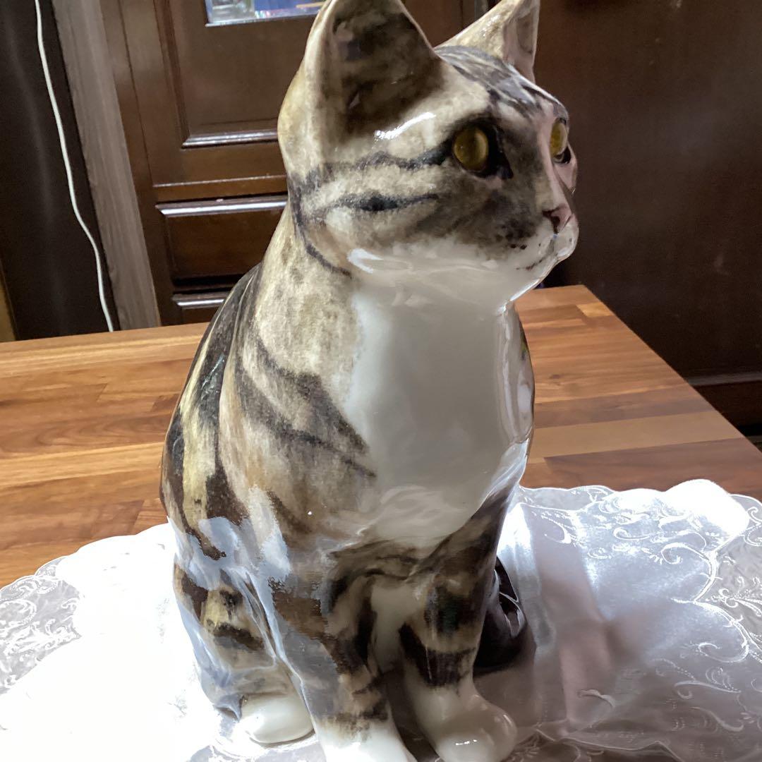 ウィンスタンレーキャット、ケンジントンキャットサイズ6の大きな猫