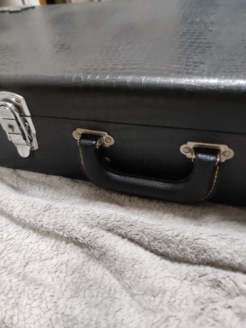 林*様 Ibanez RG2228GK Prestige ケース付 逆輸入