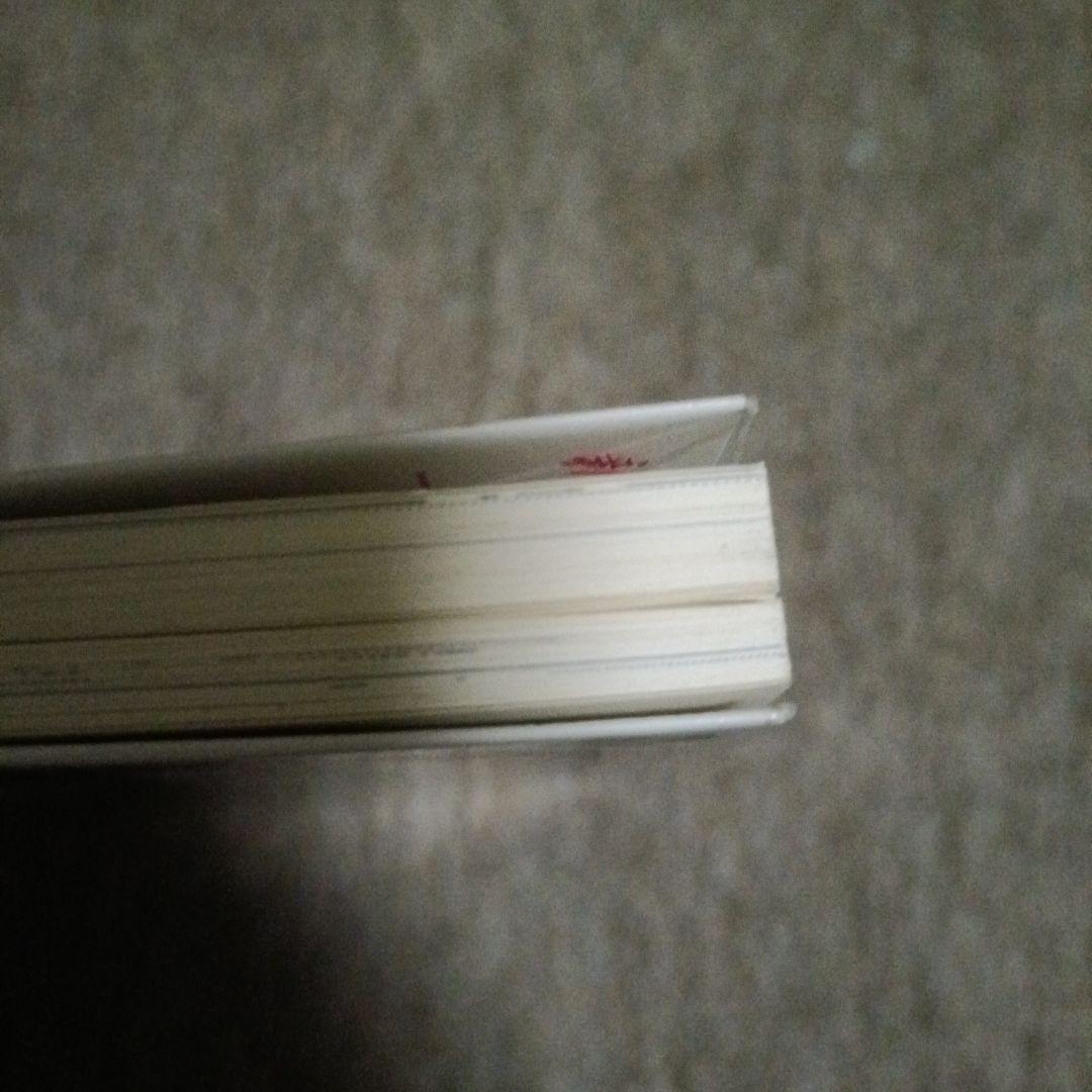 新シェーラひめのぼうけん死をうたう少年