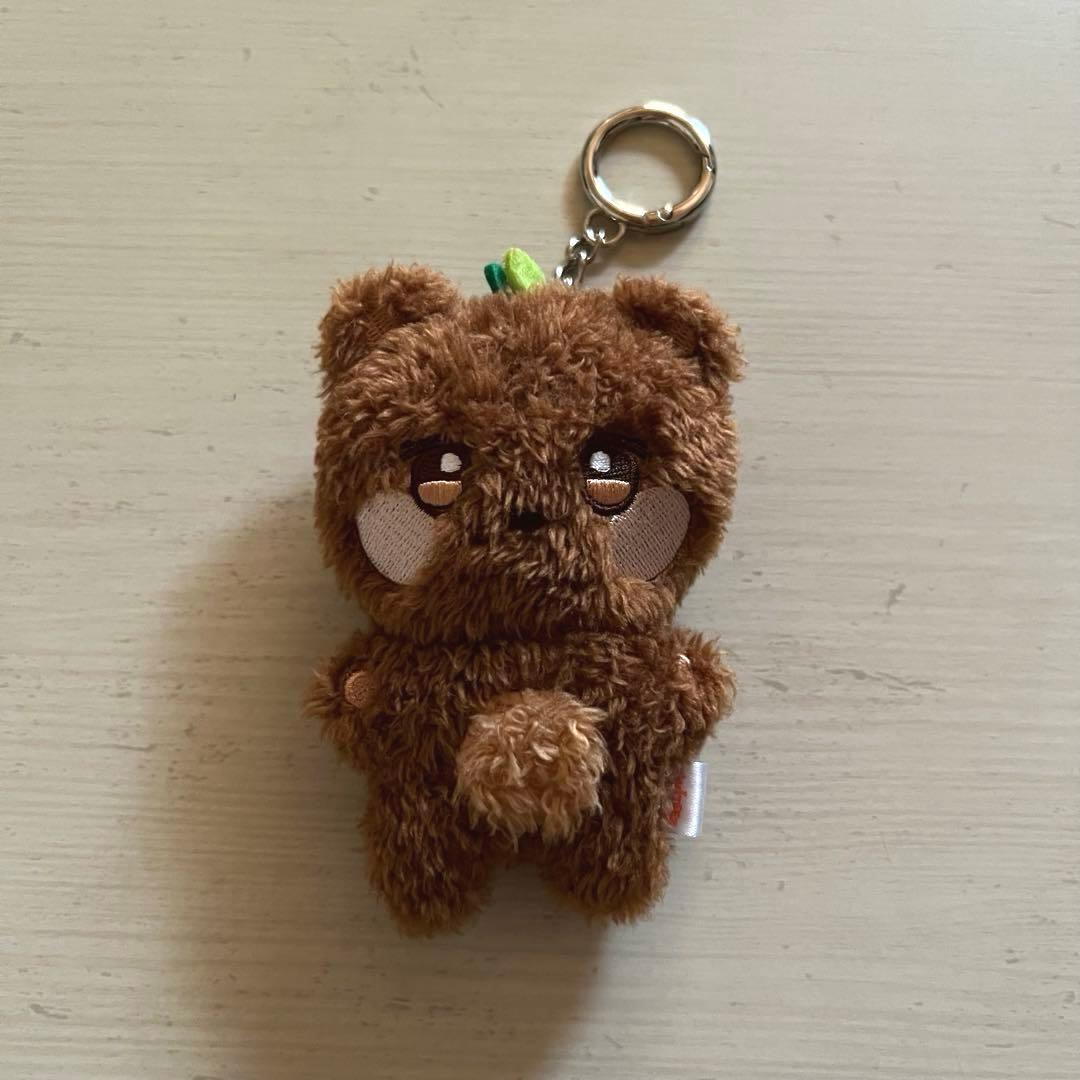 ATEEZ ANITEEZ チョンベア ジョンホ グッズまとめ売り