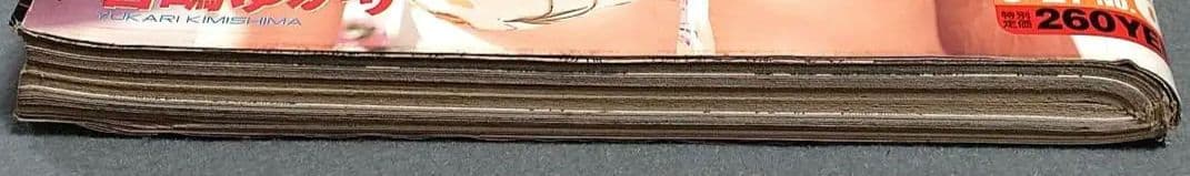 ヤングアニマル1998年6号ベルセルク巻頭カラー/第117話/三浦建太郎