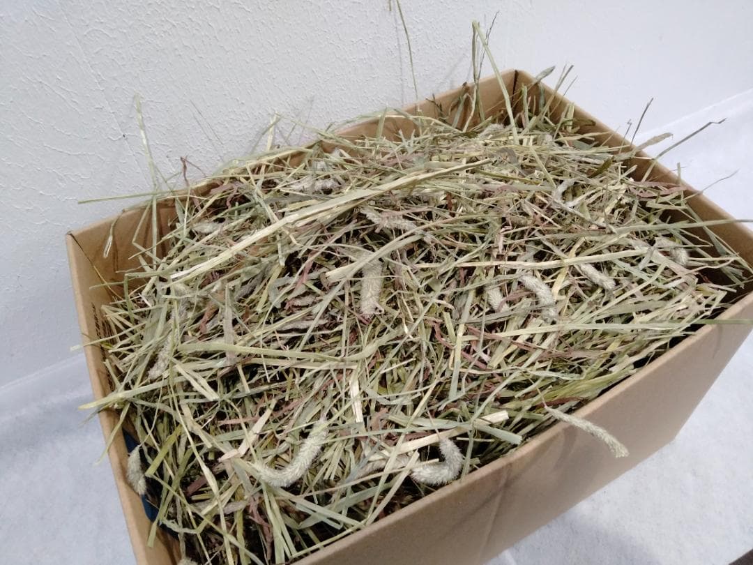 【4/13まで】 カナダ産 チモシー 50kg スーパープレミアム １番刈り