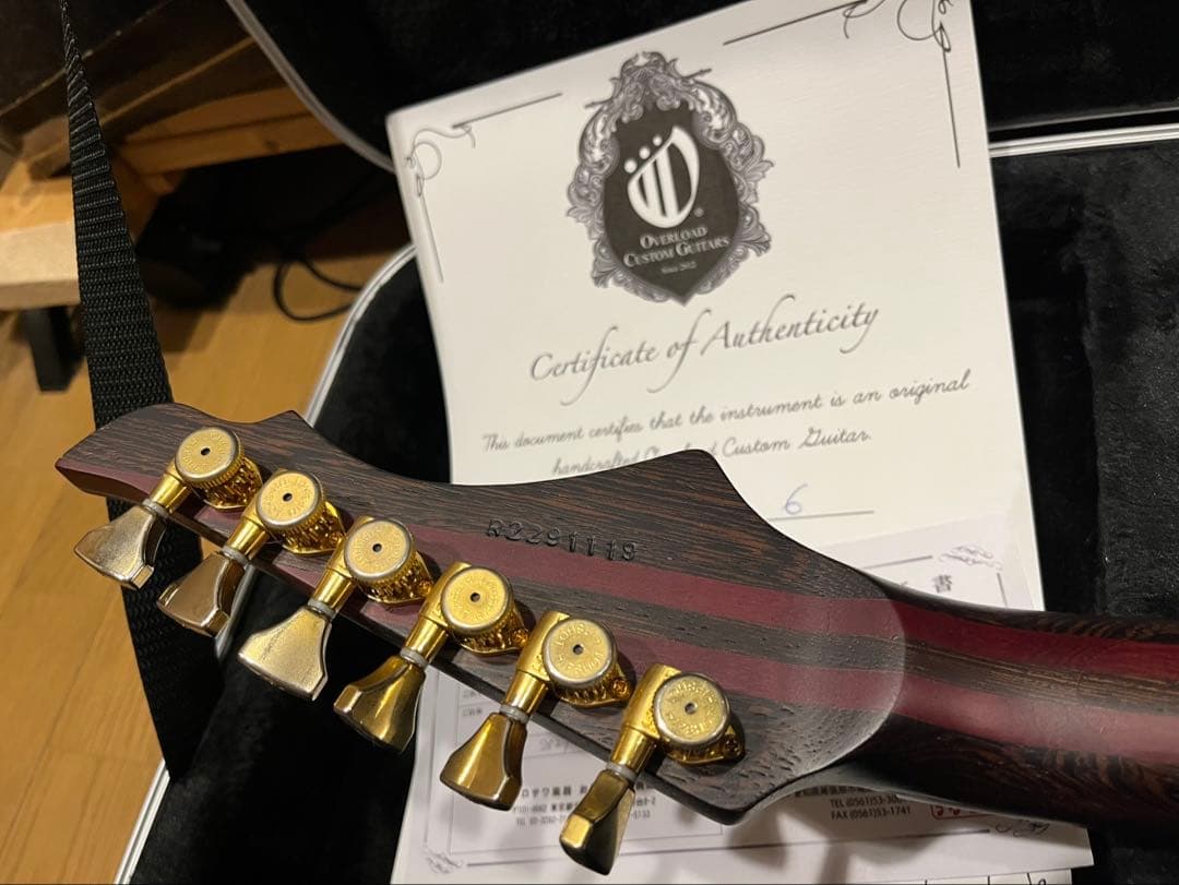 y*i様 Overload Custom Guitars Rea6 Trans