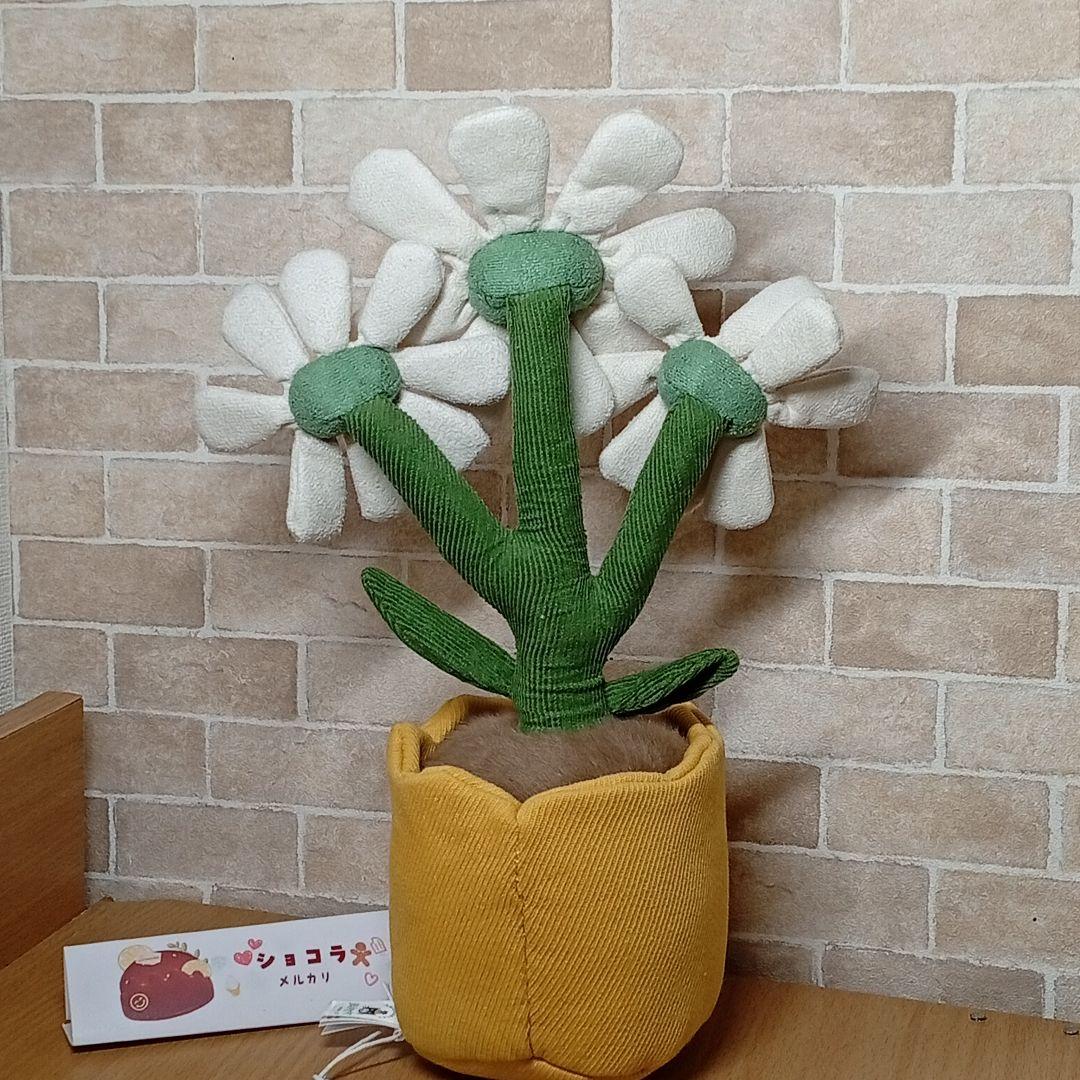  Daisy ジェリーキャット デイジー　お花植木鉢　雛菊　菊花