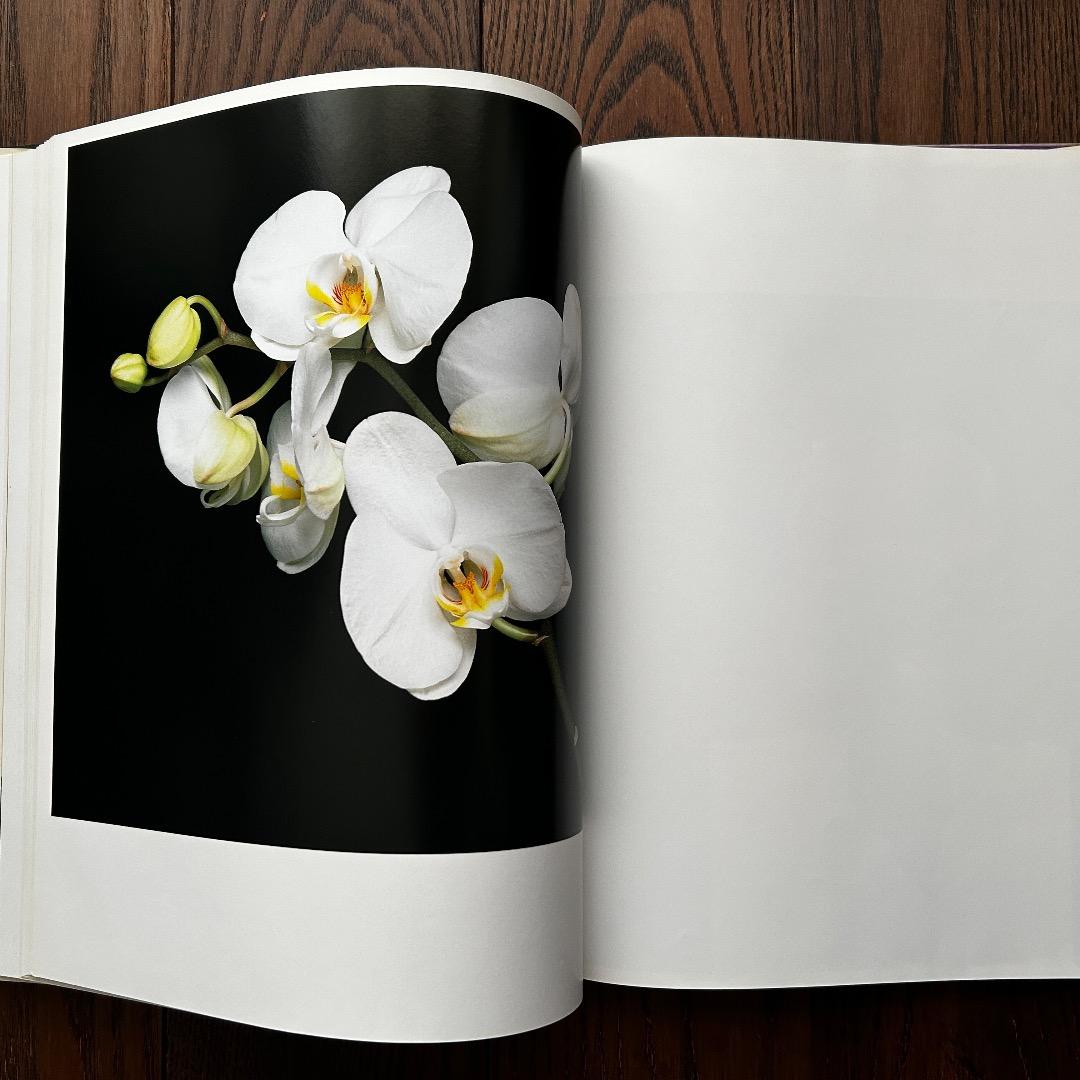 Flowers Mapplethorpe ロバート・メープルソープ写真集