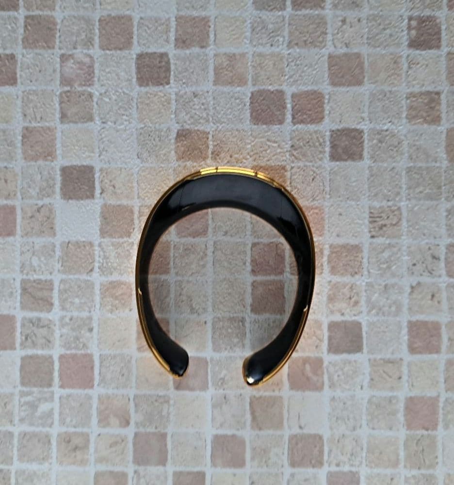 aiboプレミアムプラン２０１９～２０２０年　限定品　ゴールド首輪