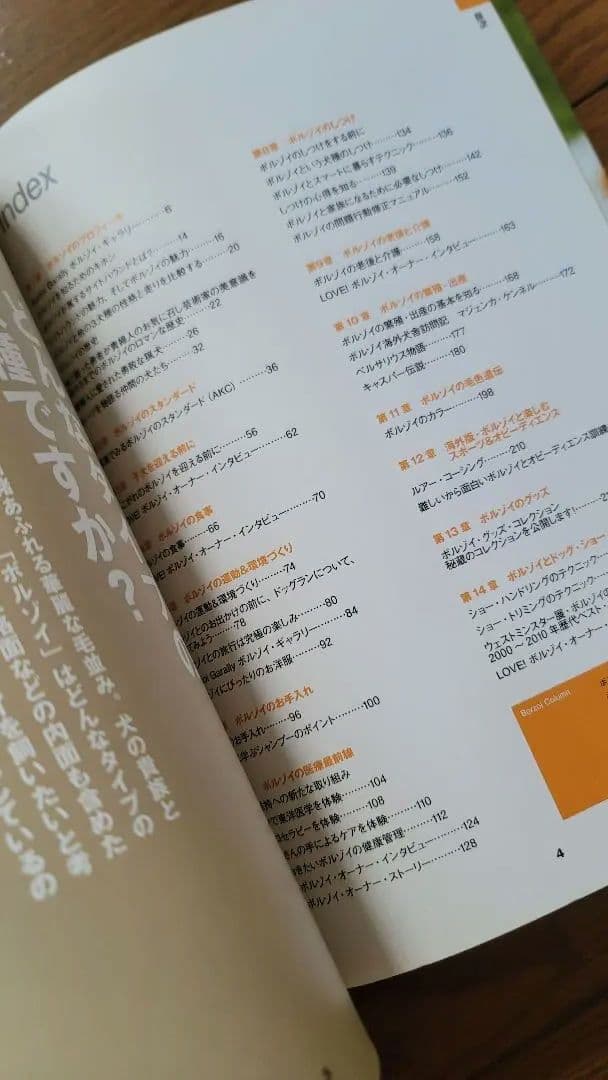 【絶版】200p越！ボルゾイの事典(大関京子著)ハウンド狩猟犬好きへ