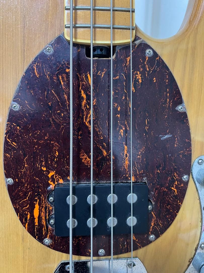 SX スティングレイ アクティブベース MUSICMAN