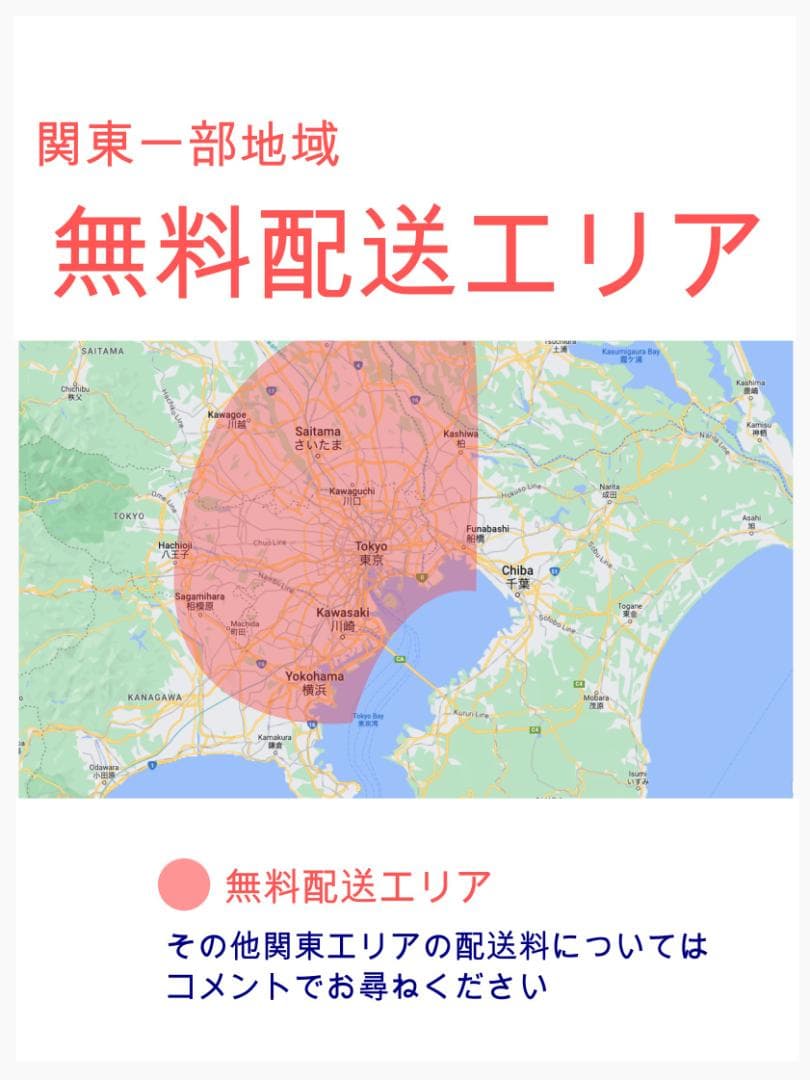 年始スペシャル パナソニック 子供乗せ電動アシスト自転車 ZH3203