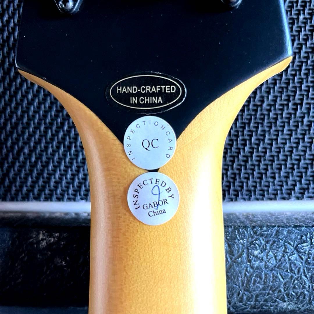 Epiphone Zakk Wylde ZV サイン入り