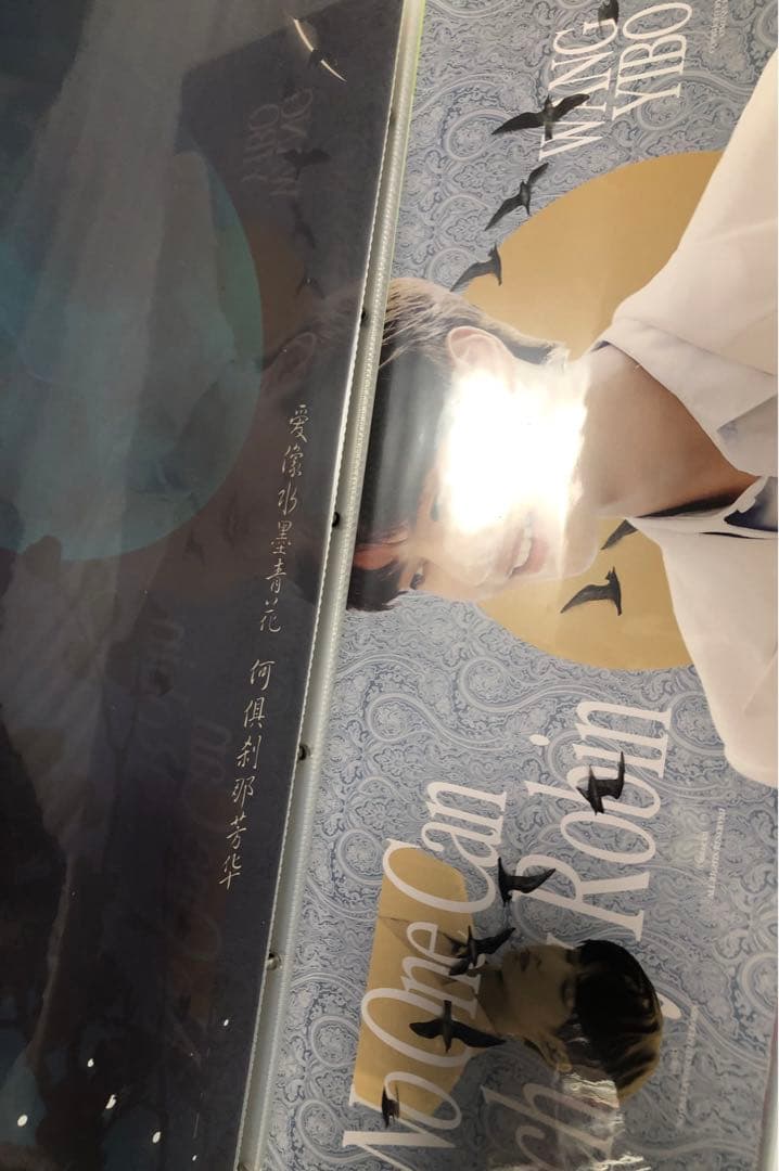 王一博 肖战 肖戦 バインダー＋手幅スローガン・応援カード他 カード満載アルバム