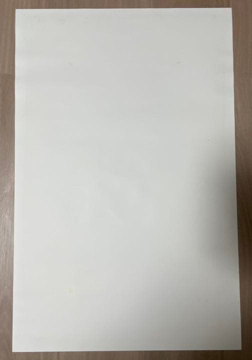 Todd Slater / Mars Volta ポスター AP マーズヴォルタ