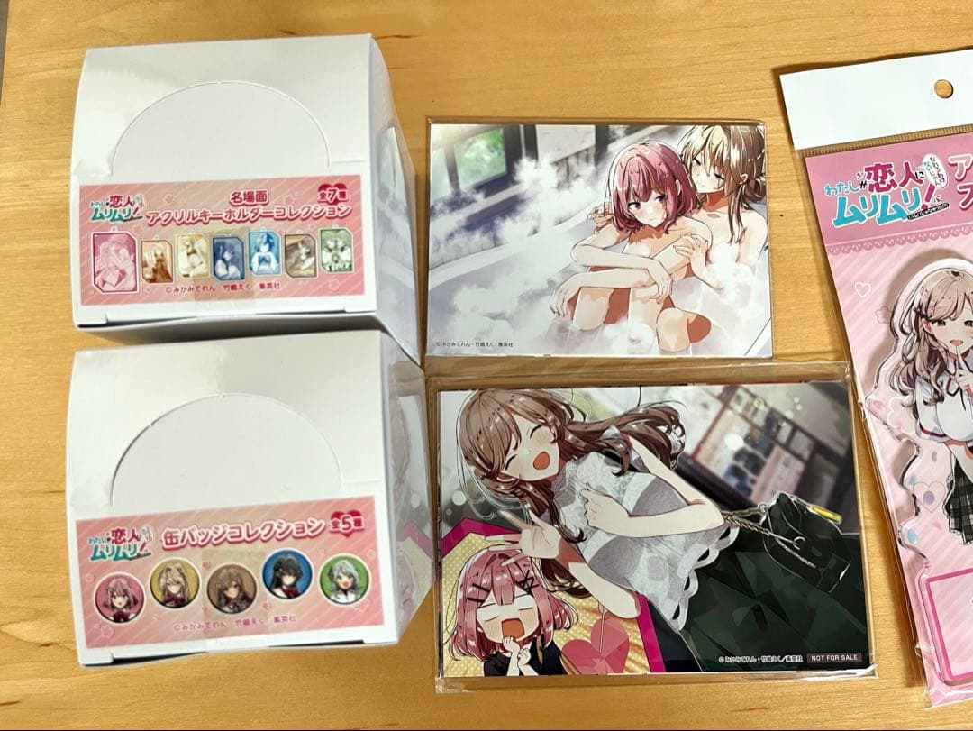 わたしが恋人になれるわけないじゃん、ムリムリ！　わたなれPOPUPグッズセット