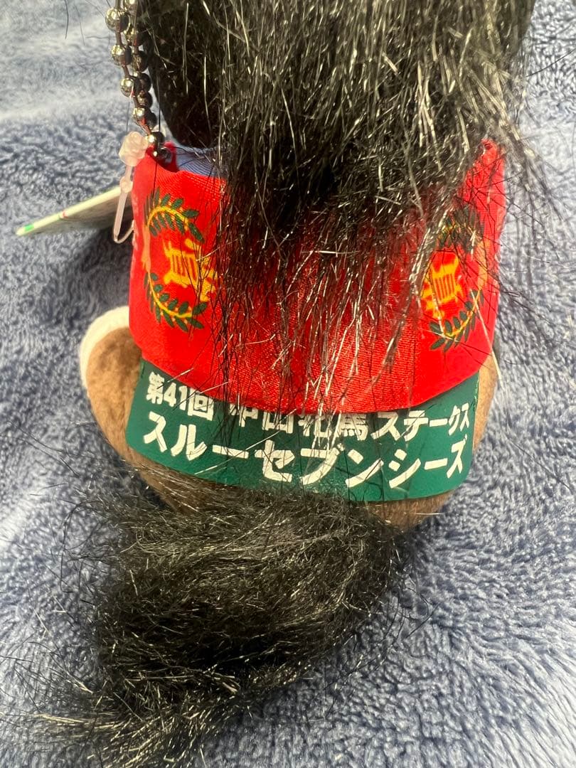 スルーセブンシーズ　アイドルホース