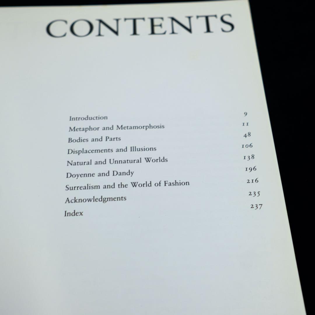 Fashion and Surrealism Richard Martin 洋書